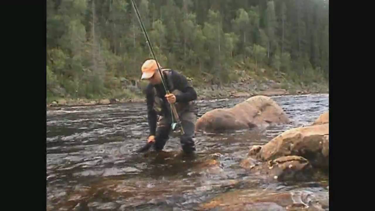 Norwegian Flyfishers Club - One Day on the Upper Gaula