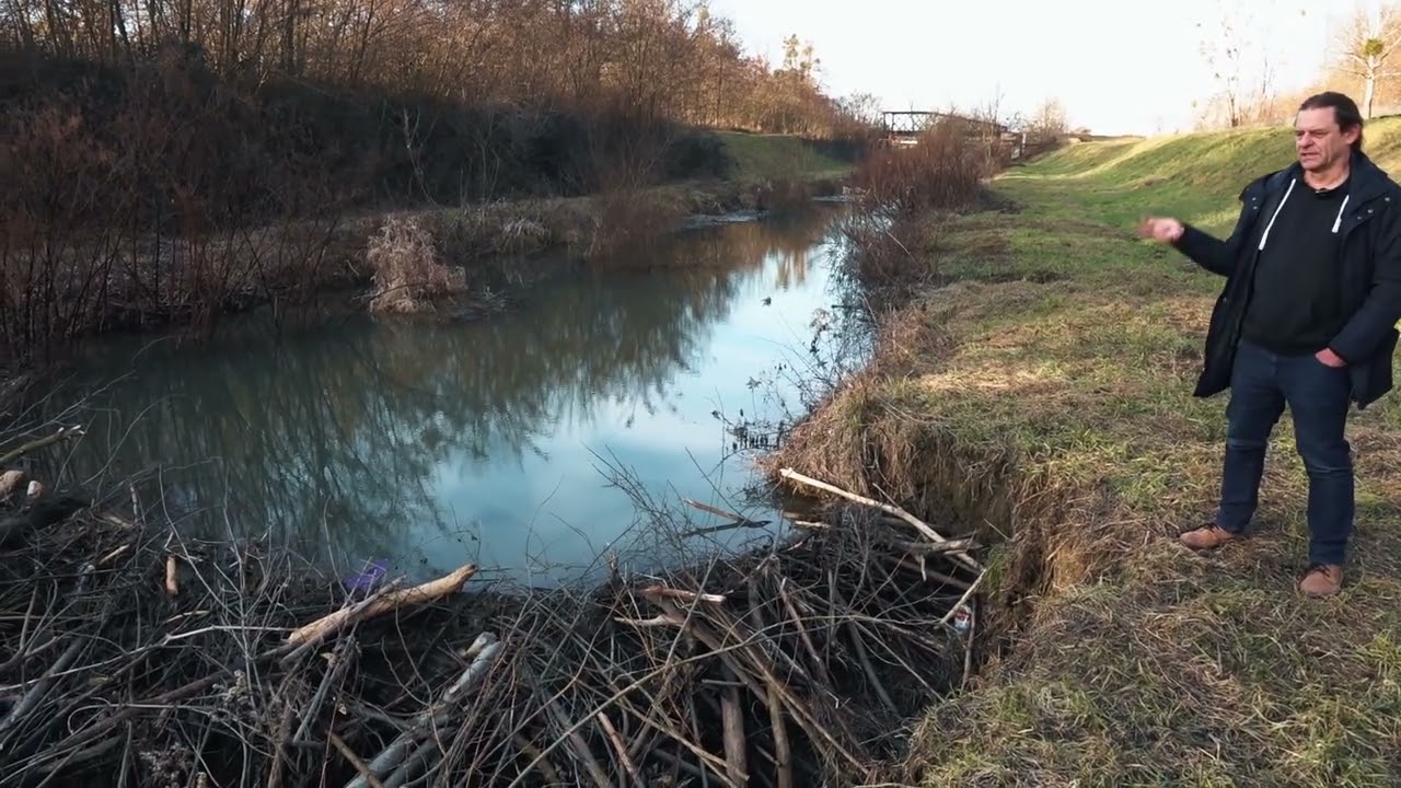Tündéri, szorgalmas állatok a hódok, csak éppen nagy bajkeverők