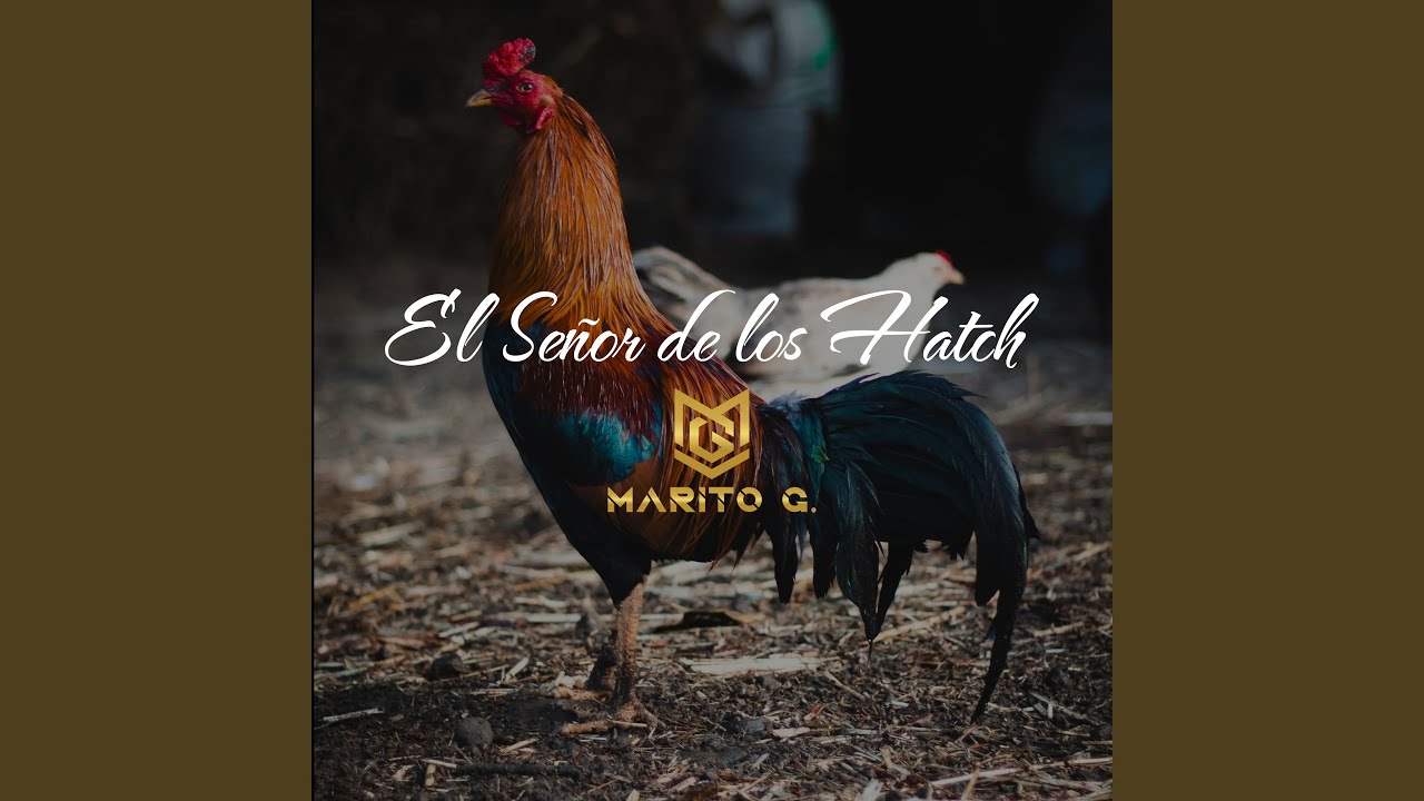 El Señor de los Hatch