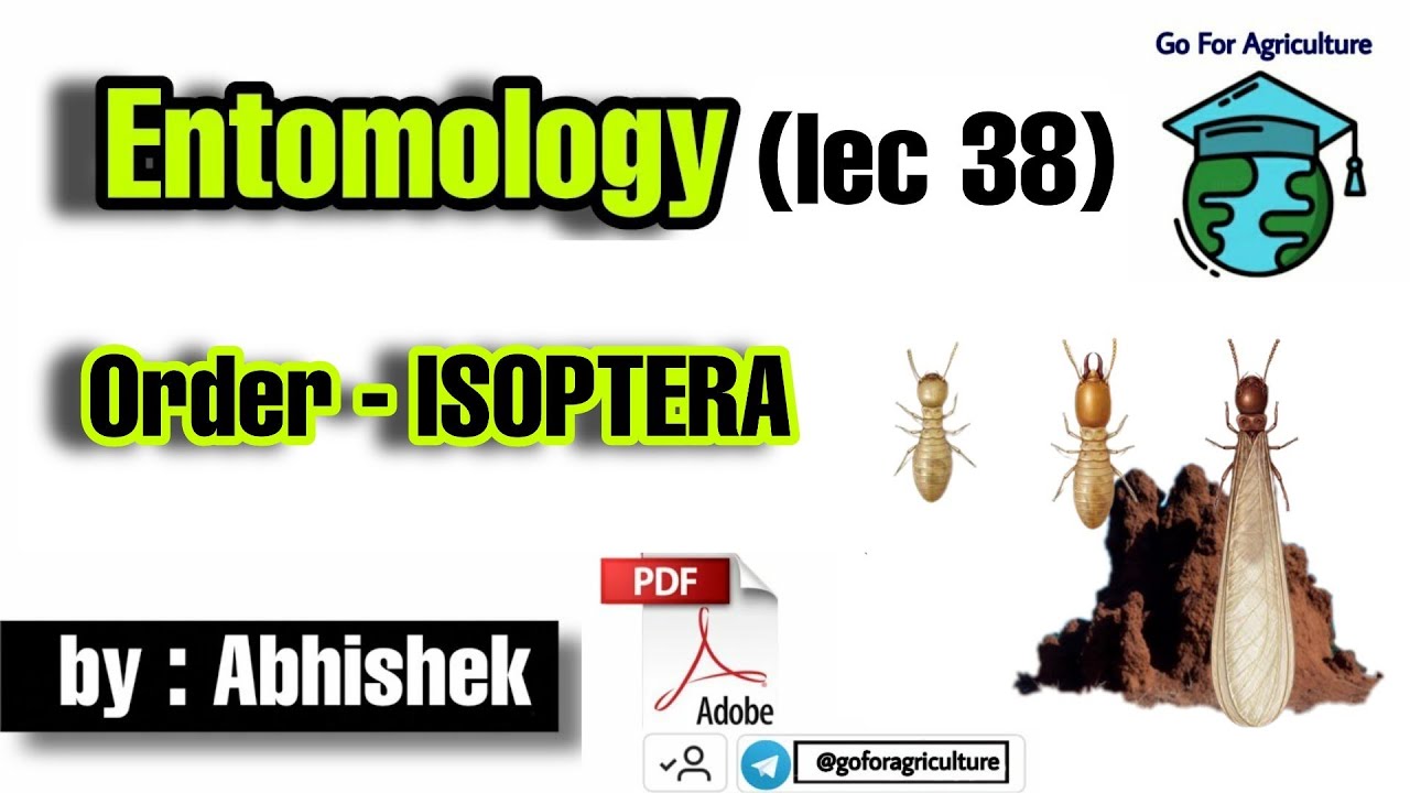 Order - ISOPTERA - Termites (Lec 38) • Entomology • Go For Agriculture #isoptera #icar #bhu #ibps