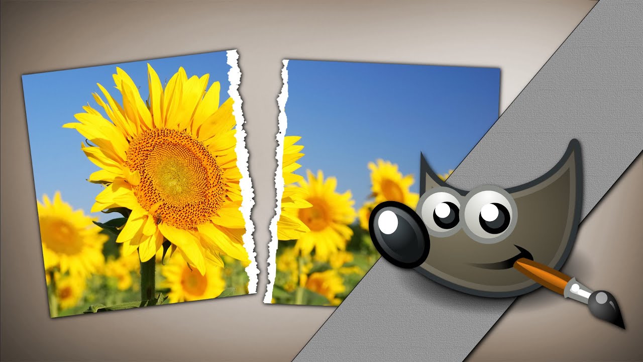 Efekt podartego zdjęcia. Gimp poradnik
