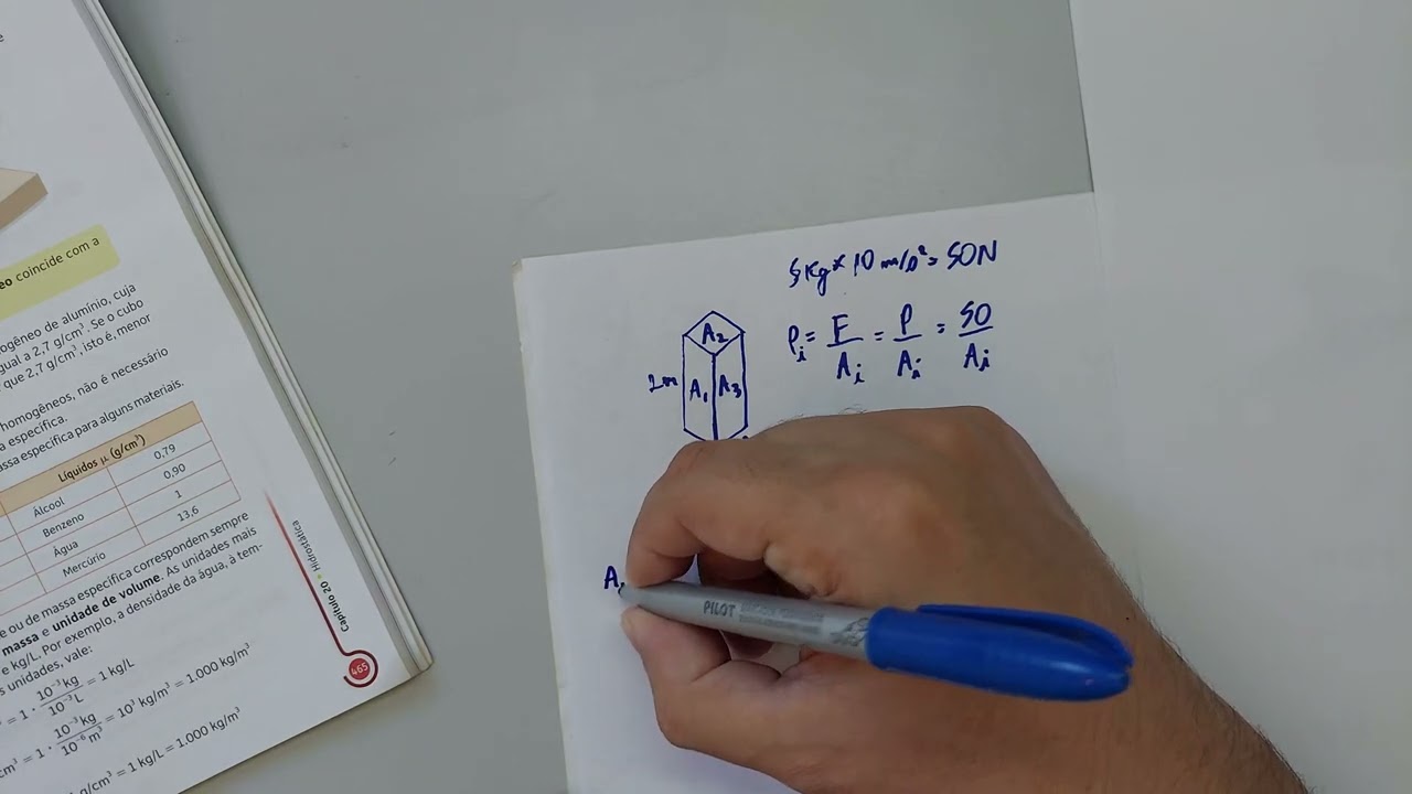 Os Fundamentos da Física - Vol1 - Cap20 - P499
