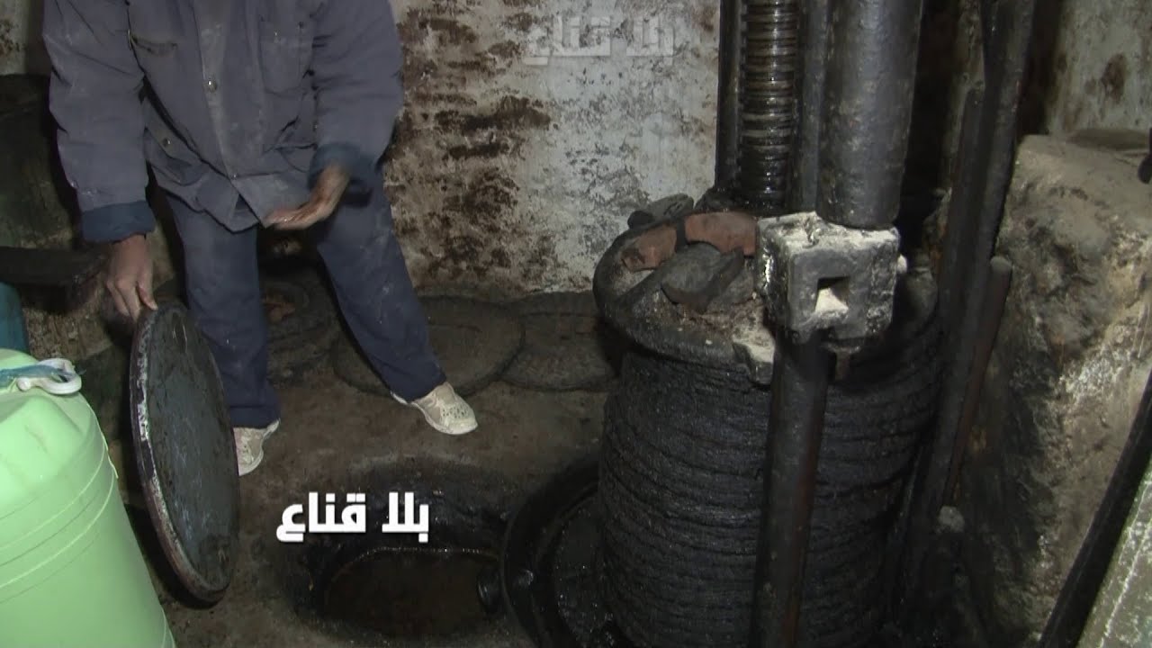 ثروات ضخمة وكنـ ـوز أثرية مخفية لمئات السنين تحت الأرض بتوجان تكشف في االمباشر..لن تصدق الروعة