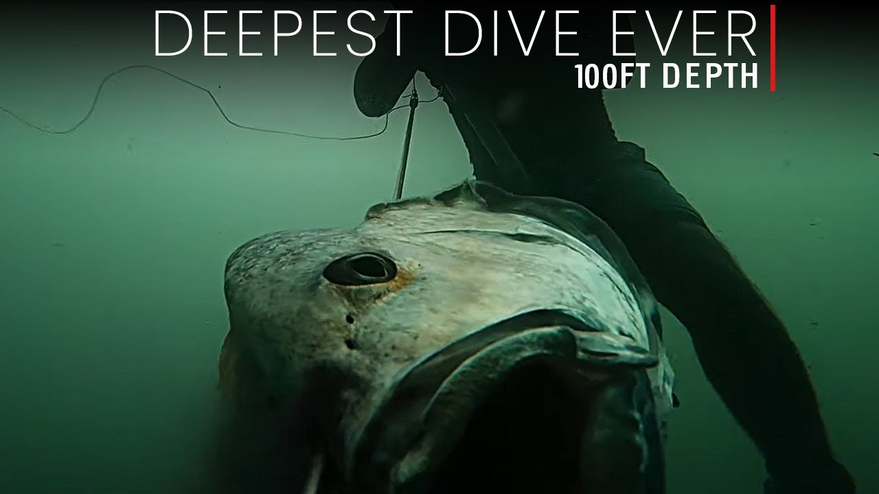 Deepest Dive Ever (100 Ft) #spearfishing #oceanlife #fishing #top #underwater #diving #viral #yt