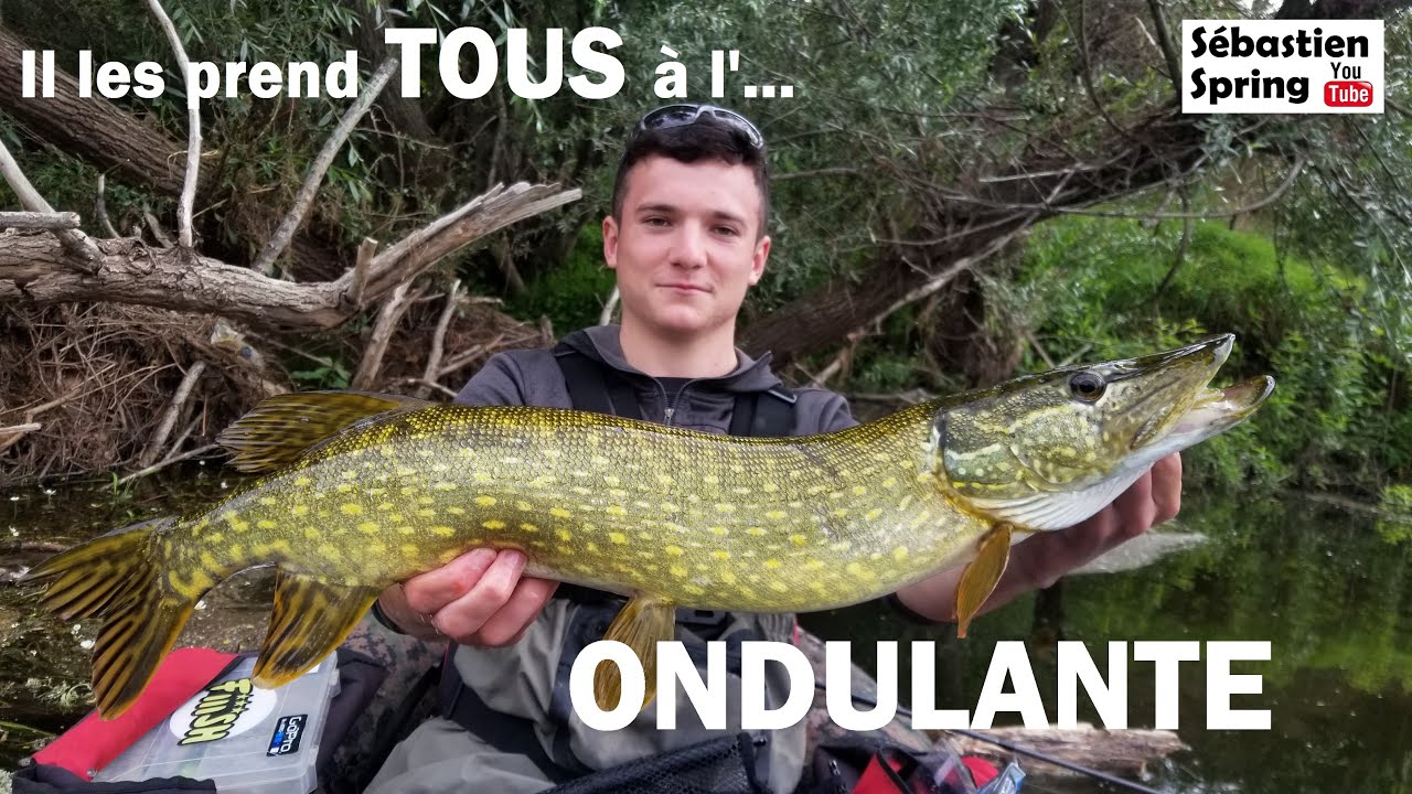 Il les prend TOUS à la cuiller ONDULANTE !