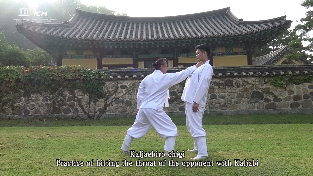 택견(응용)-Taekkyeon(Applied Practice)