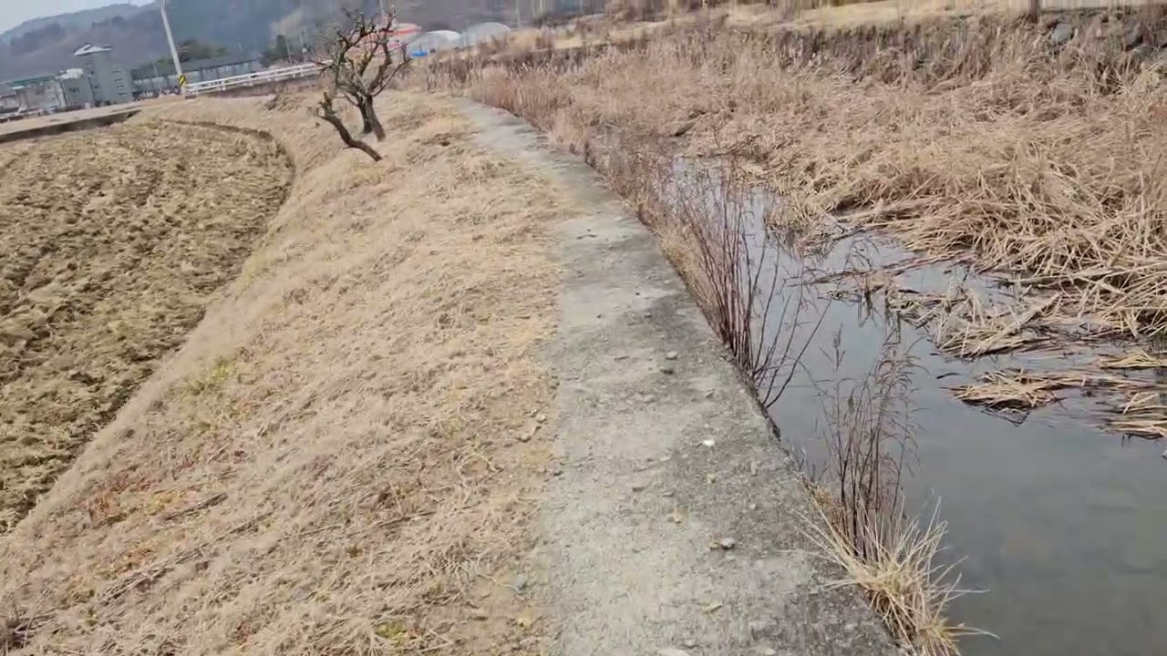 산책로#농촌생활 #시냇물#운동#고양이 #귀농생활 