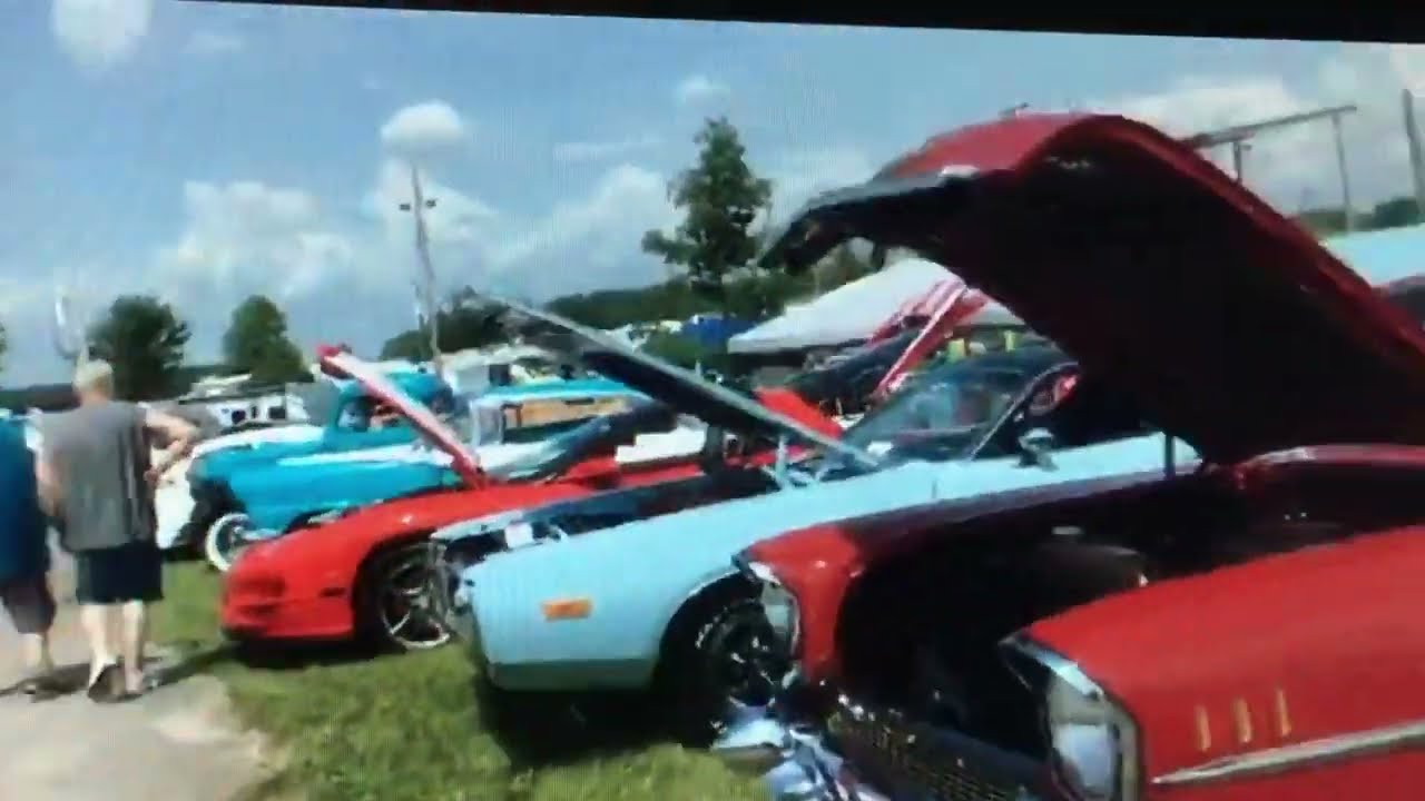 CougarShelby County Fair