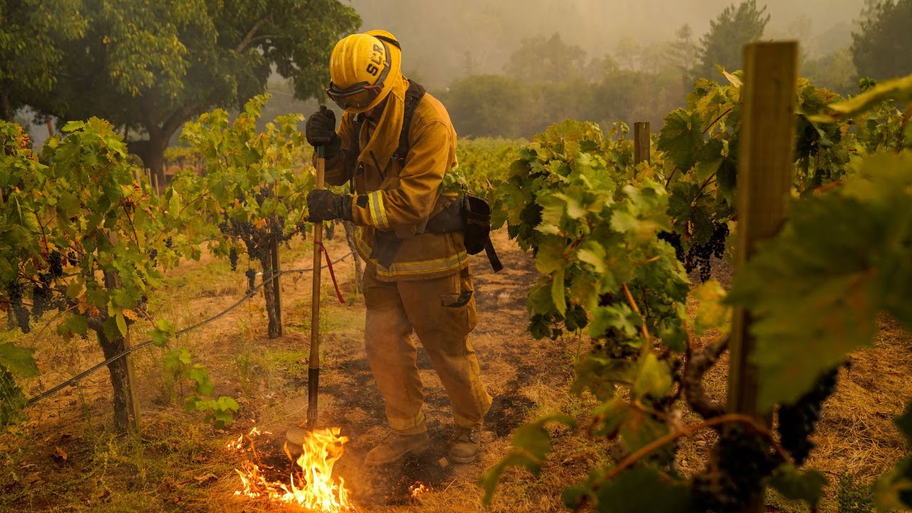 CAL FIRE gives update on Glass Fires in Northern CA