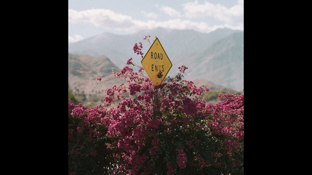 free Tyler The Creator Vintage Sample Pack | Tyler (reupload, remade)