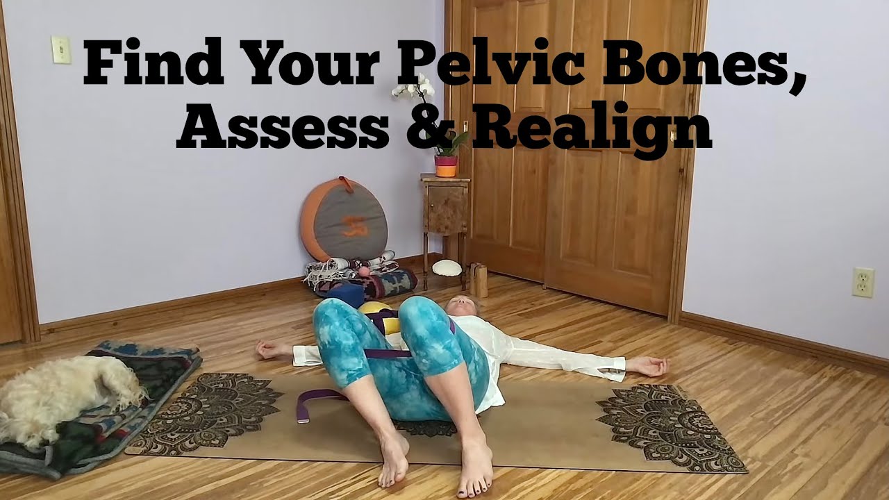 Pelvic Reset - Somatic Yoga Live Stream Wednesdays