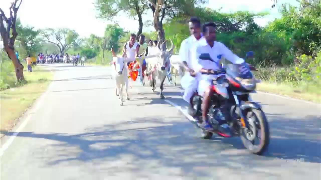 ⭕LIVE|சின்னமாடு-1 கோவினிப்பட்டி 25000 ஆயிரம் யாருக்கு??|பந்தய நேரலை