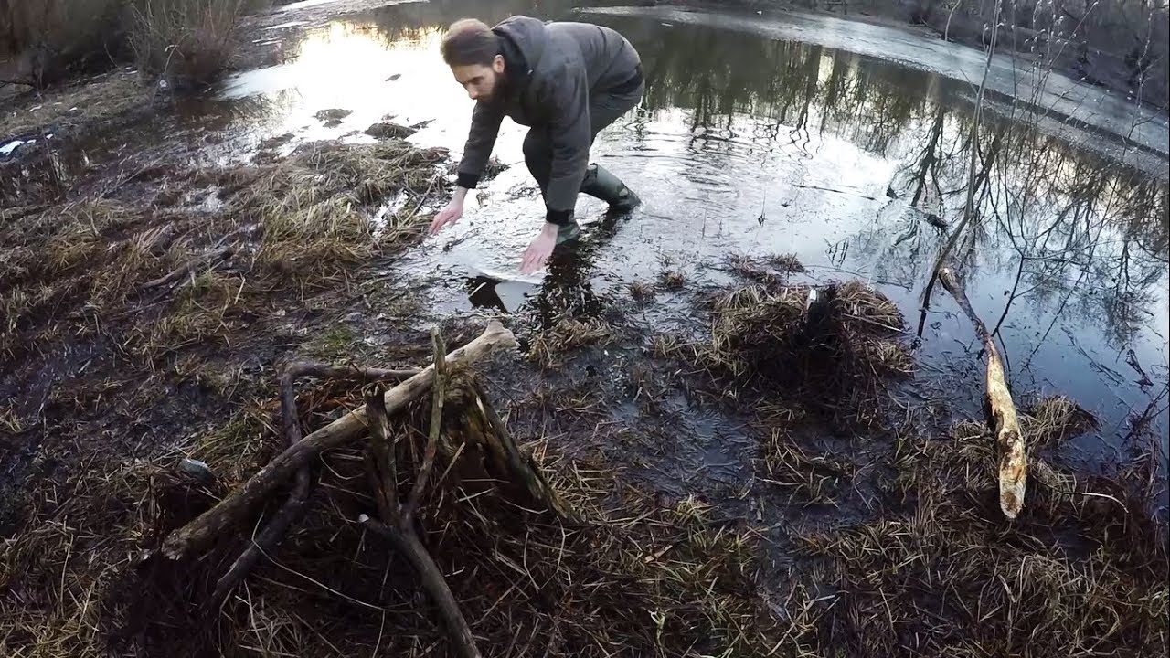 TRAPPERFIELD SESSIONS #1 - Hódok nyomában / In search of beavers