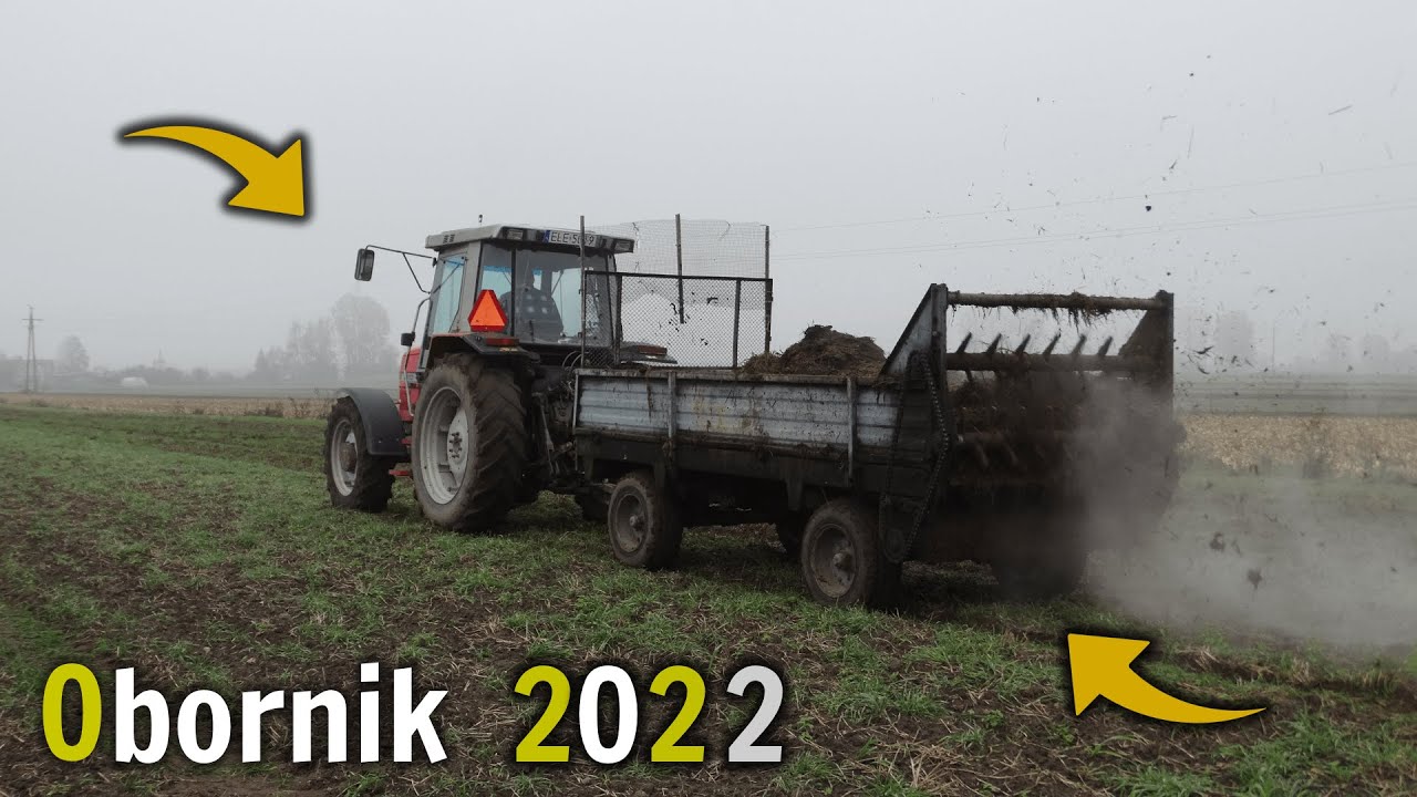 Obornik 2022 🔥 MF 3070 w akcji || Załadunek Ursus'em c-330 🔥