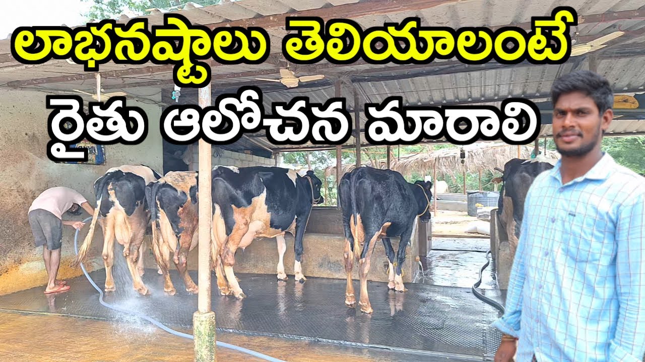 మనం కూడా మారాలి ramakrishna dairy farm in telugu @MalleshAdla