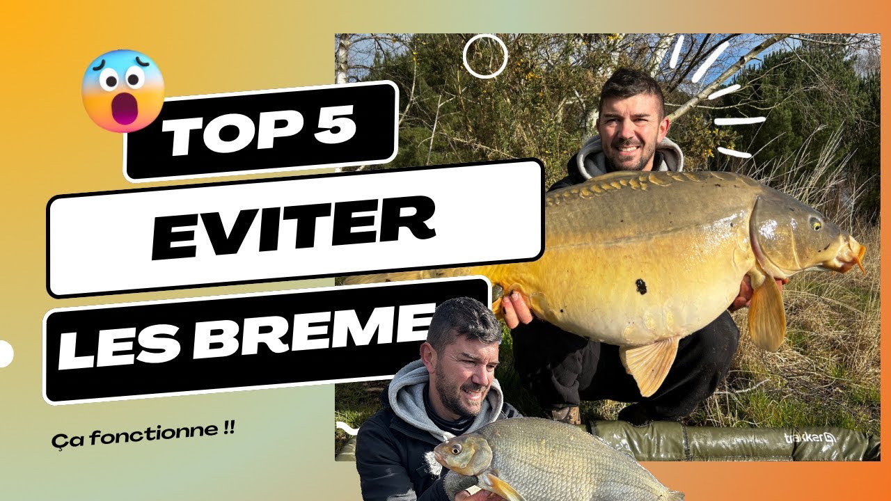 Pêche de la CARPE // Eviter les NUISIBLES , est-ce possible ??