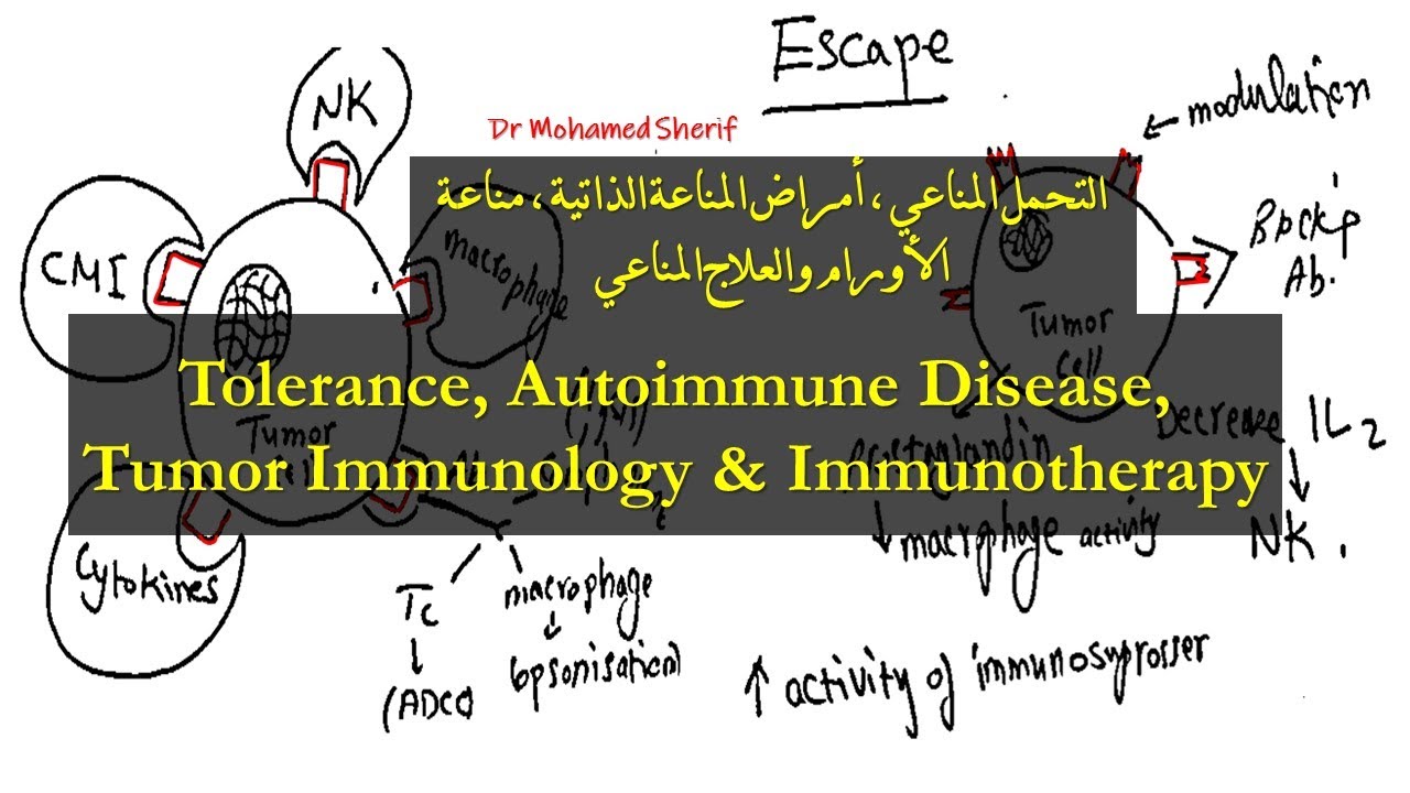 Tolerance, Autoimmune Disease, Tumor Immunology & Immunotherapy - مناعة الأورام والمزيد من المواضيع