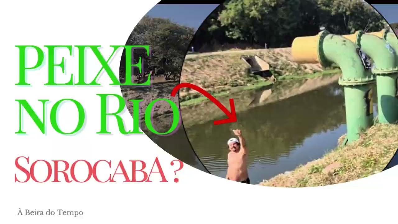 Tem peixe no Rio Sorocaba? História, cidade e conflito urbano