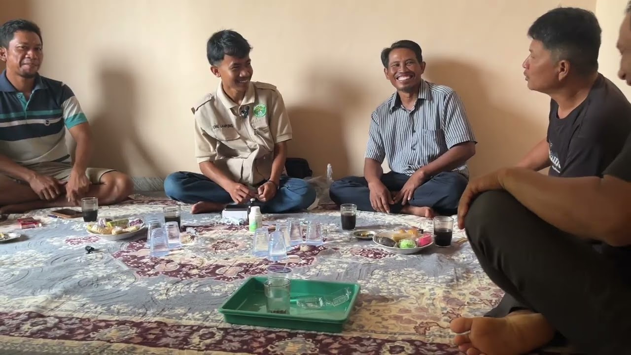 kegiatan program kerja jurusan peternak pemberian vitamin b complex pada ternak kambing 