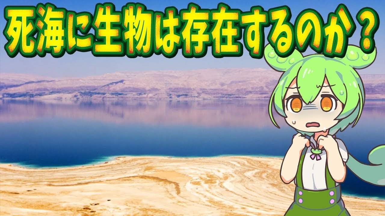 生物の謎７選！死海の底で見つかった新種の微生物【総集編】