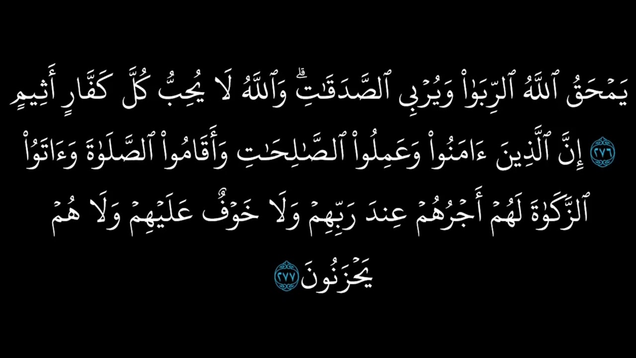 سورة البقرة القارئ إبراهيم الجبرين 🩵🎧