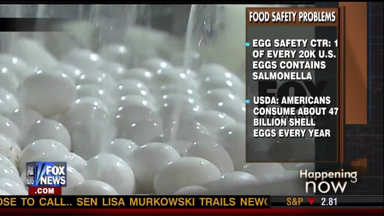 Greg Conko on Salmonella and Eggs