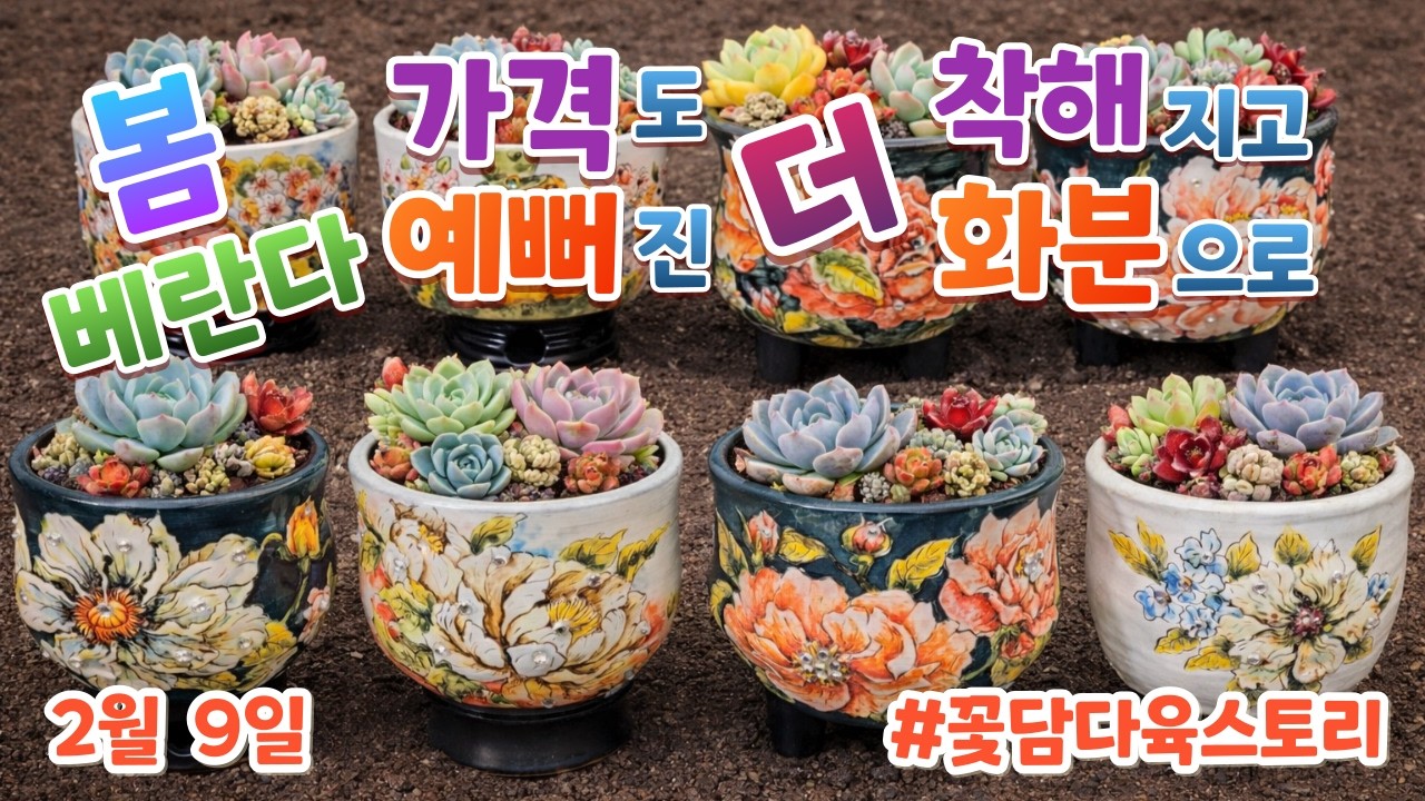 2월 9일 ☎ 010-3711-3080 
