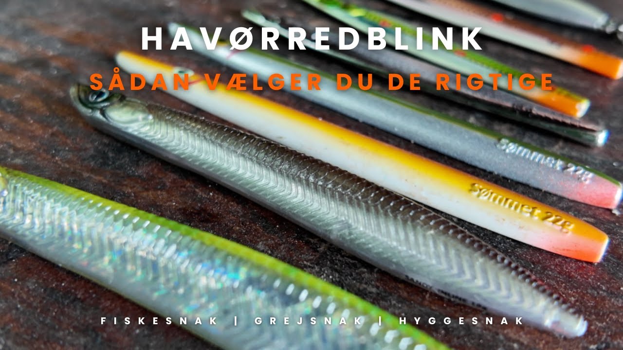 HAVØRRED BLINK - Sådan vælger du de rigtige