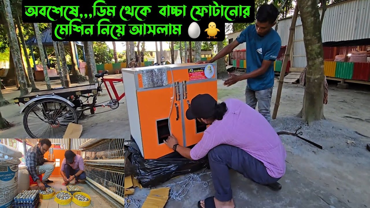 অবশেষে,,,ডিম থেকে  বাচ্চা ফোটানোর মেশিন নিয়ে আসলাম 🥚🐥