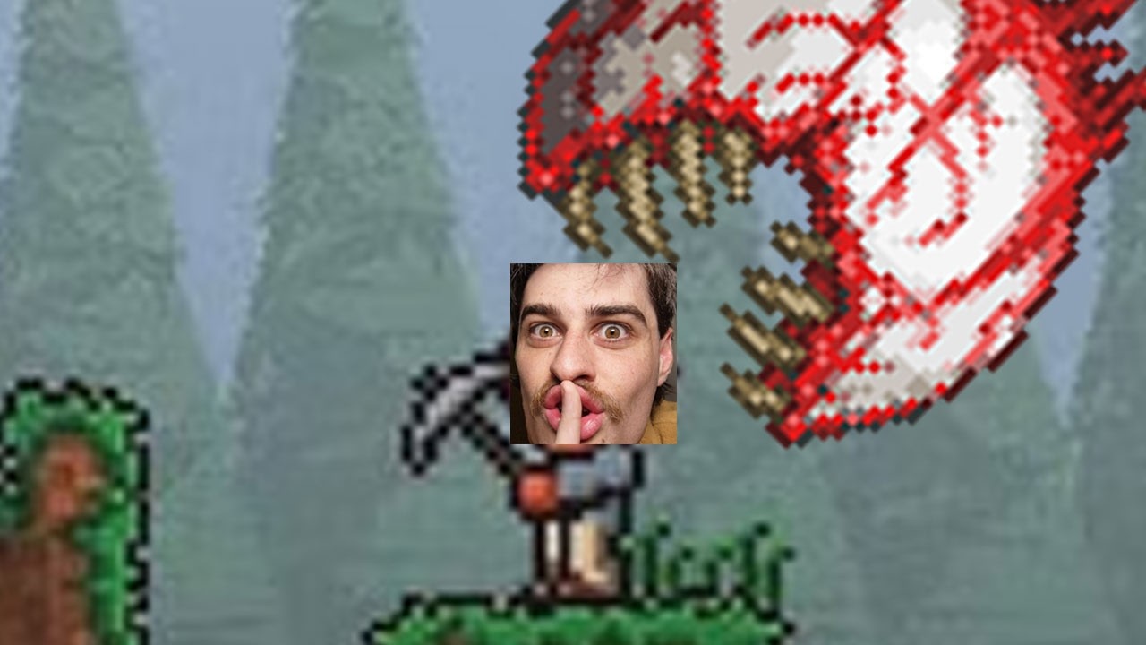 my first terraria boss