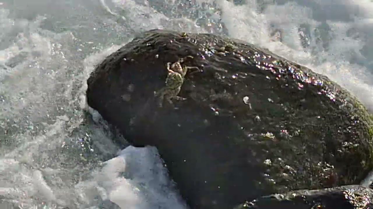 Nice place with more crabs and strong waves