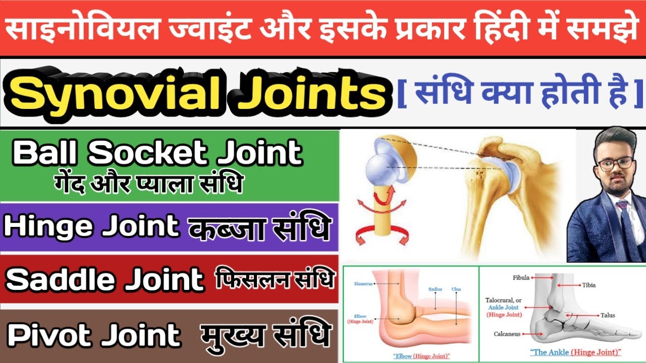Types of Joints in hindi | Synovial Joints | Synovial Fluid | Ball and Socket joints | Hinge joint