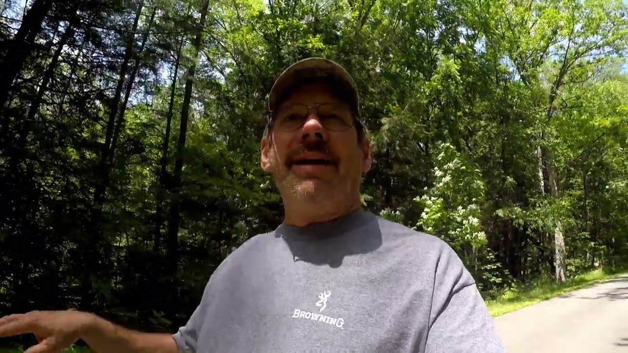 Greenwood Furnace State Park Campground Review