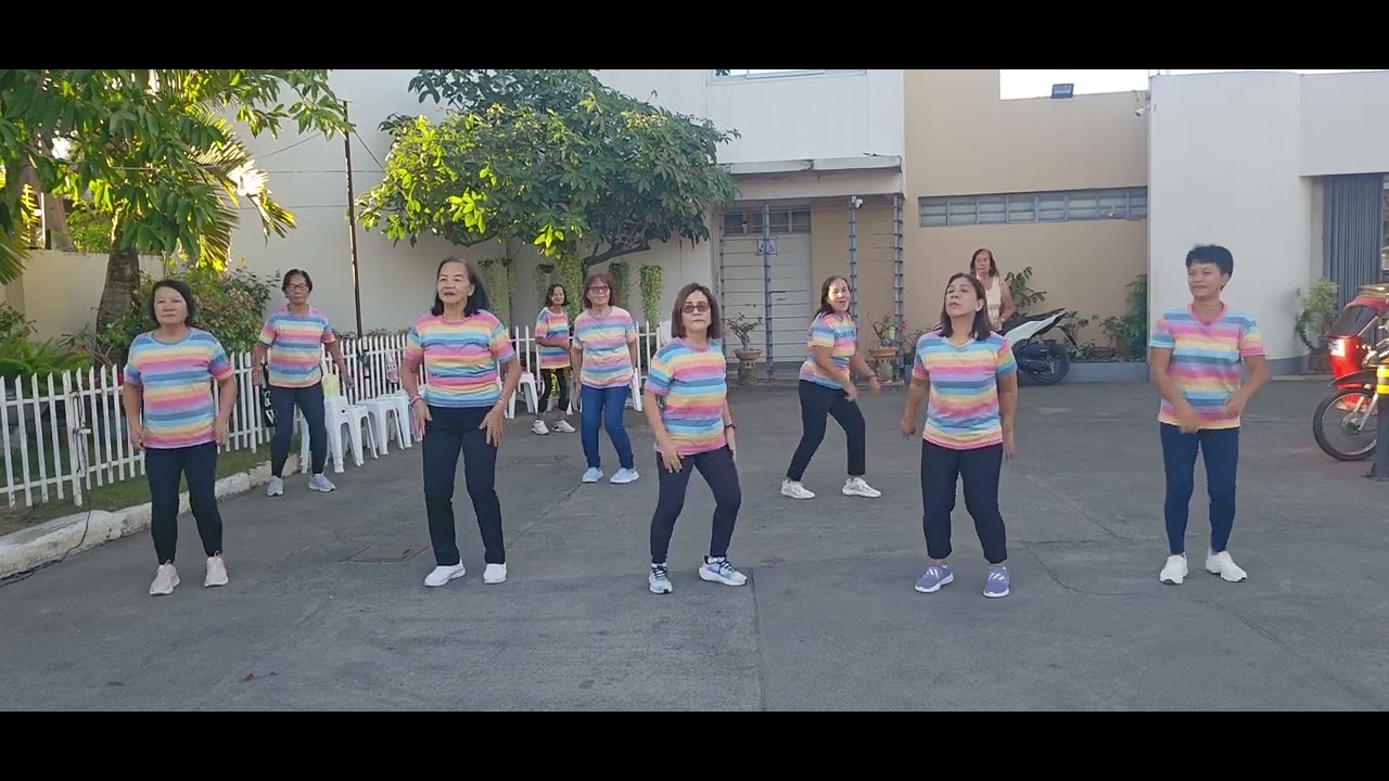 Malasin zumba ladies