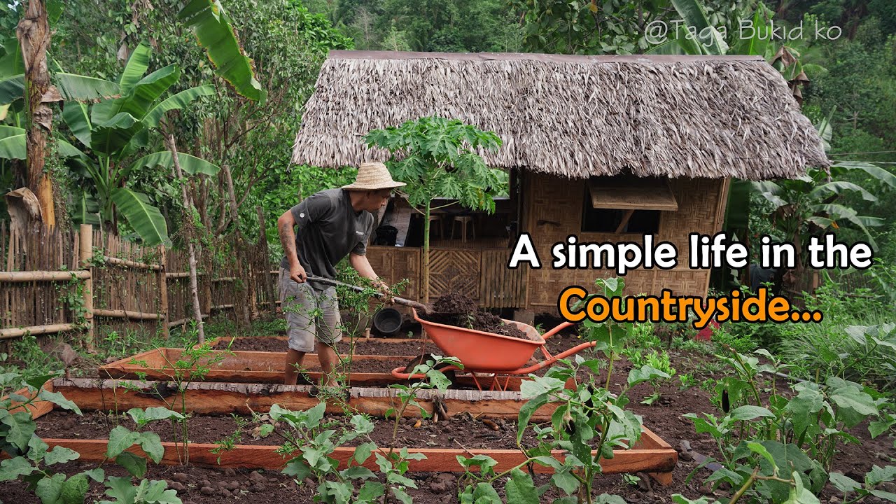 Malasugue Kinilaw at Inihaw na Tilapia | Update sa Garden | A simple Life in the Countryside