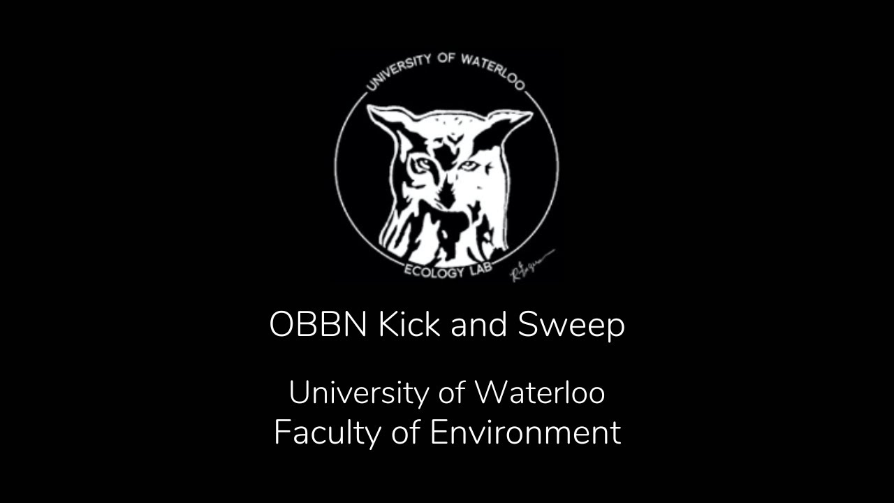 Demonstration of OBBN Stream Sampling