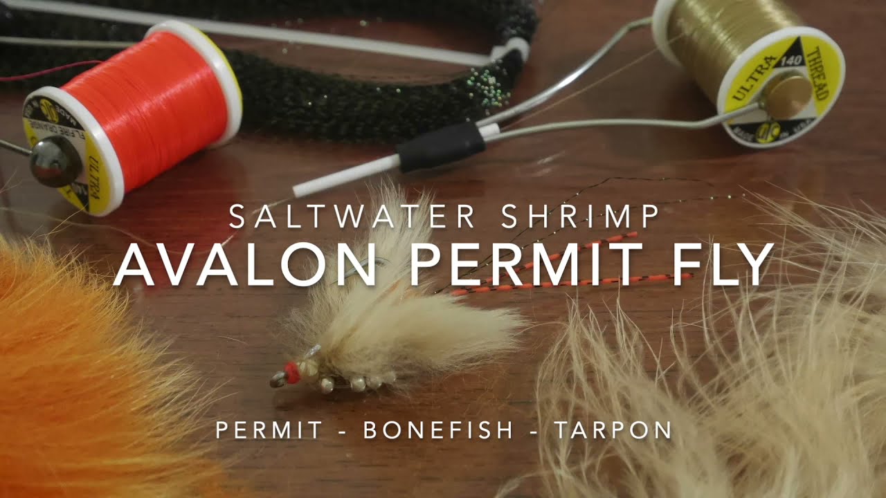*** Avalon Permit Fly ***