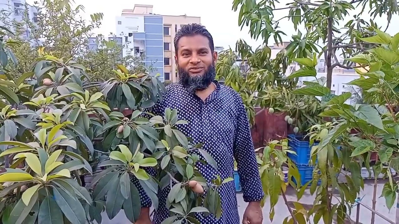 ঢাকা শহর এখন মরুভূমির পথে মরুভূমি ঠেকাতে হলে ছাদ বাগান করুন