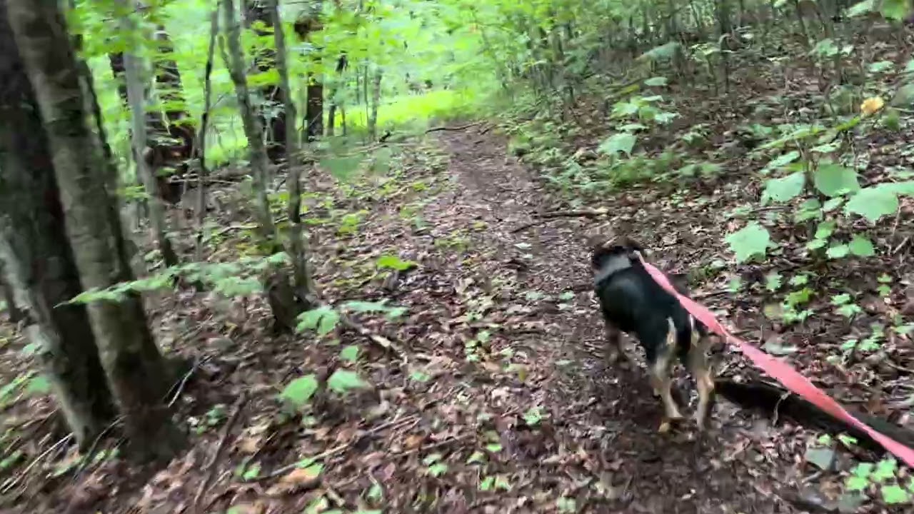 Stickney Hill Part 1