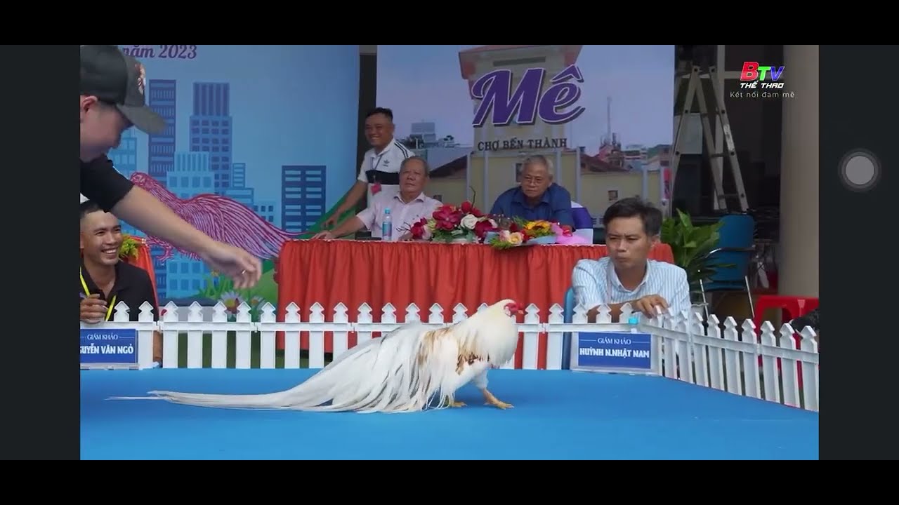 Cuộc thi siêu cúp gà cảnh Tân Châu Miền Nam 2023 do clb Dĩ An tổ chức.
