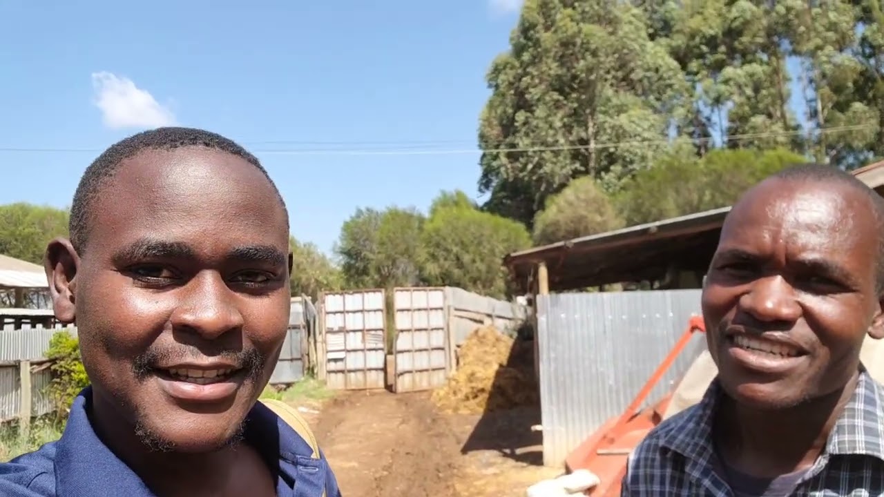 Finally: I Left The Largest Dairy Farm in Rural Africa