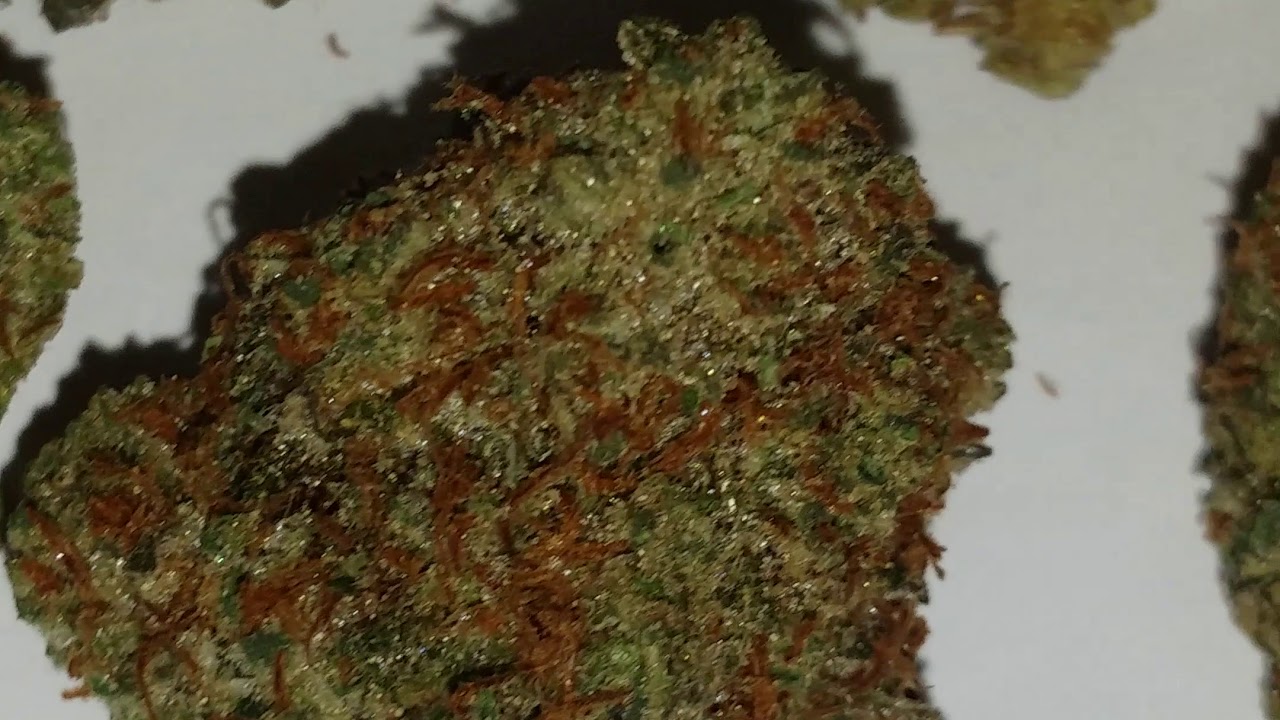 cannabis... guess the strain?