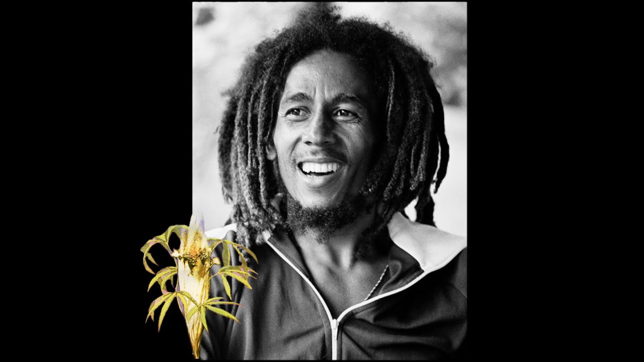 Bob Marley - Kaya Dubs (Part. 1)