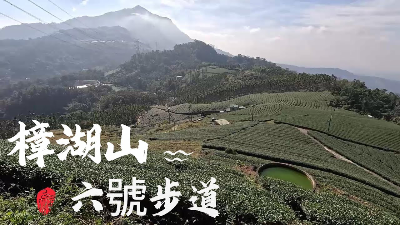 古坑 樟湖山步道 樟湖六號步道