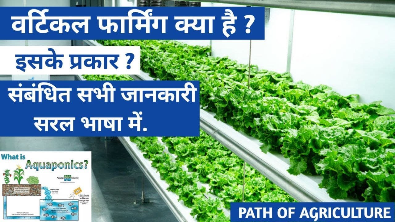 What Is Vertical Farming ? In Hindi | Vertical Farming In India | Definition, Types & Benefits .