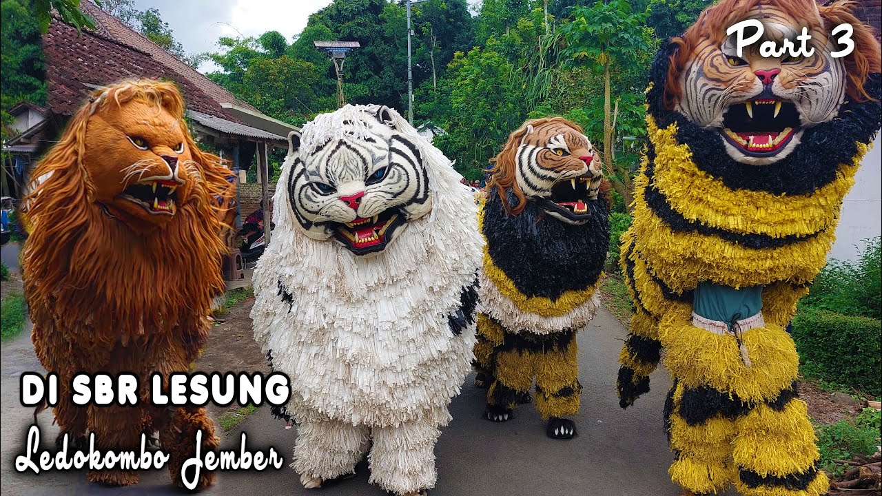 KIRAB CAN MACANAN DAN DRUMBAND SINGO MANGGALA DI SBR LESUNG LEDOKOMBO JEMBER PART3.mp44