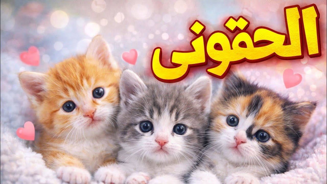الحقوني قمر عندها أكتئاب 😮‍💨😮‍💨😮‍💨