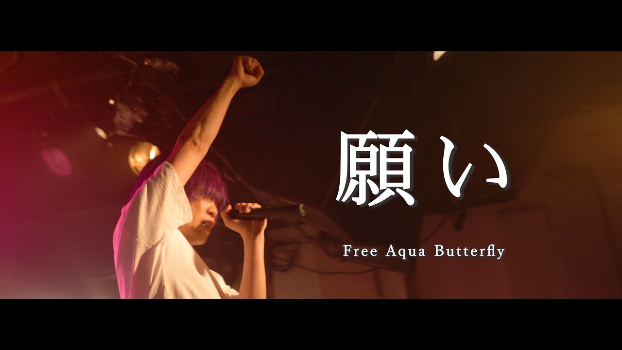 願い - Free Aqua Butterfly（4K Live Video）