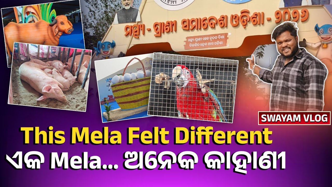 More Than Just a animal fair vlogMela | ଗାଁ ଜୀବନ, Farming & Animals Vlog @swayamVlog-v5g
