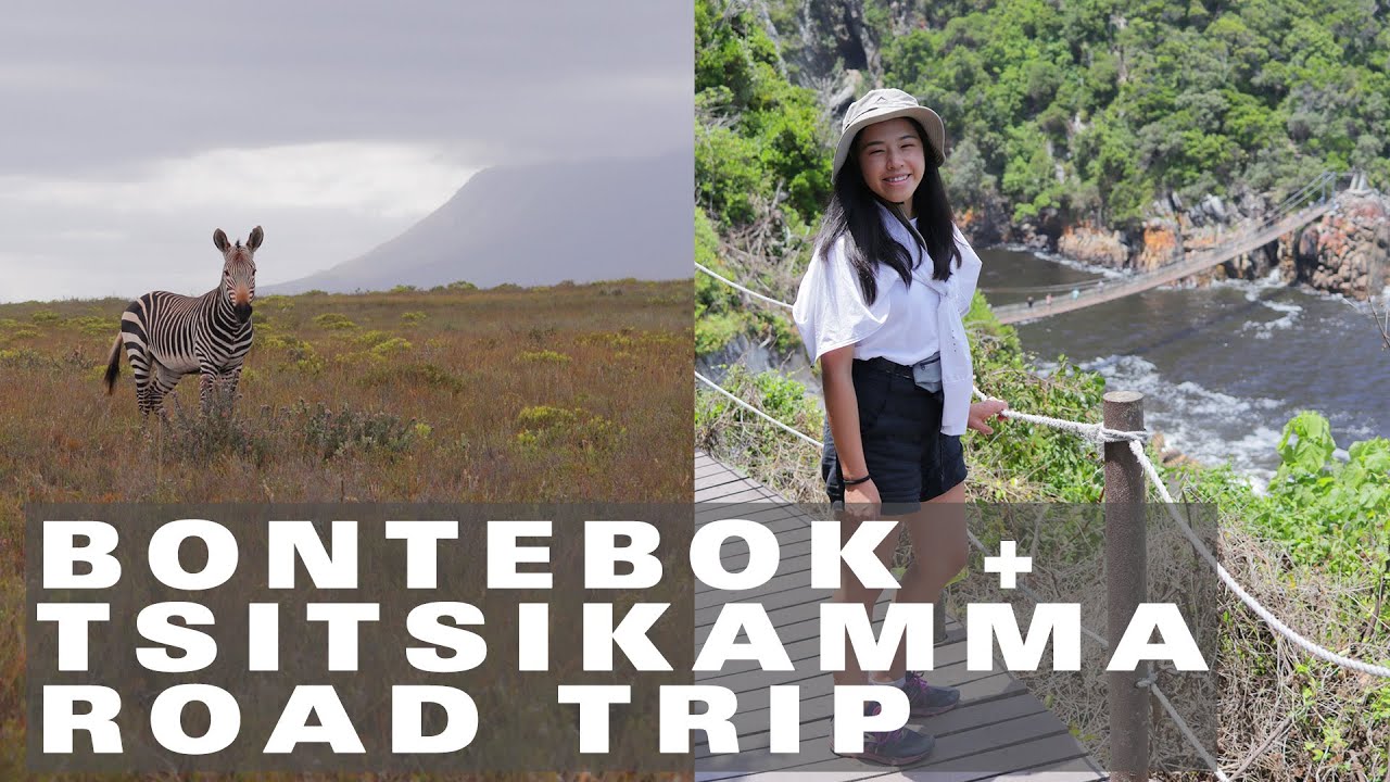 Bontebok and Tsitsikamma National Parks | an old vlog